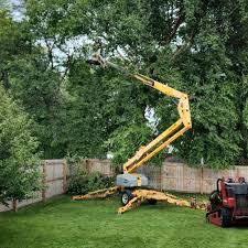 Leaf Removal in Woodland, CA